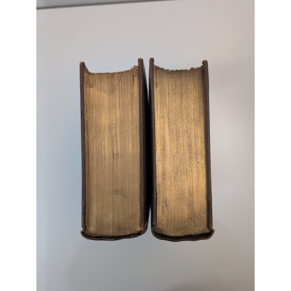 1893 Rabelais' Five Books & Minor Writings - W.F. Smith Trans. - #39/750 - Picture 2 of 14